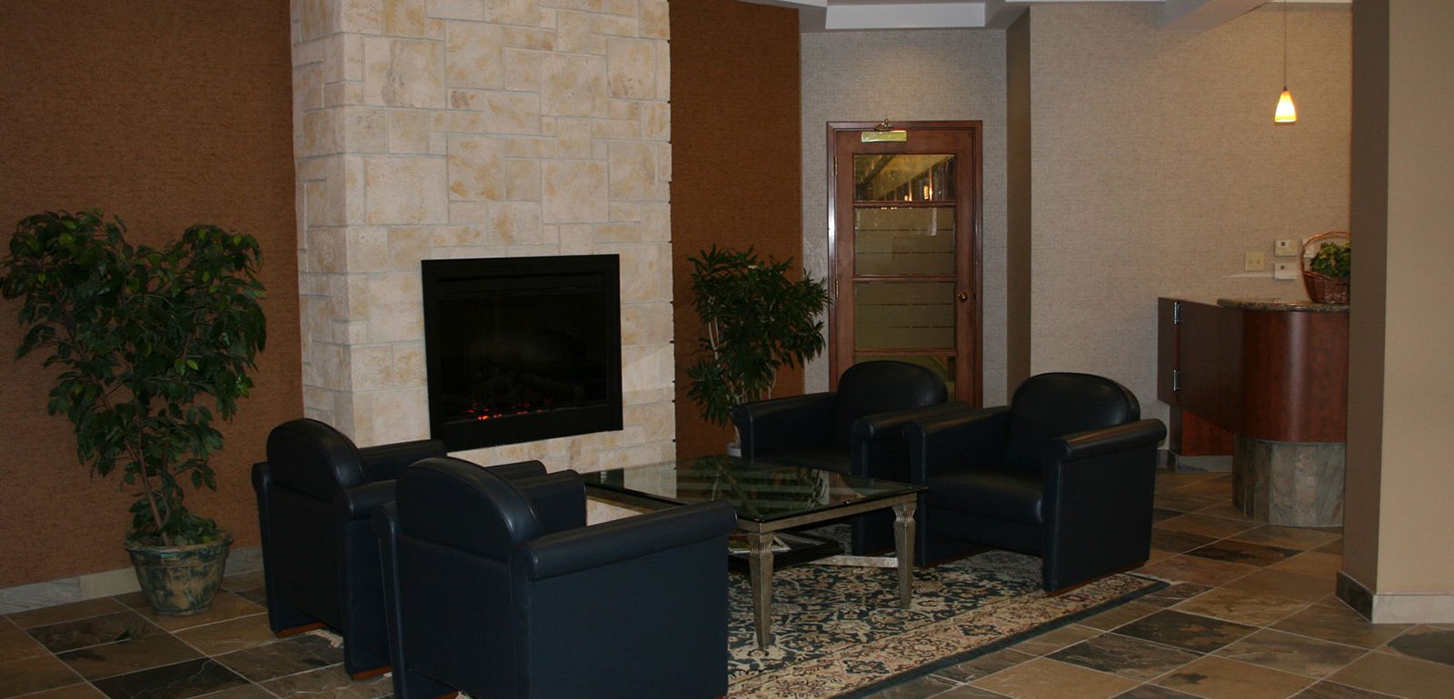 Electric Fire Place - Seating Area