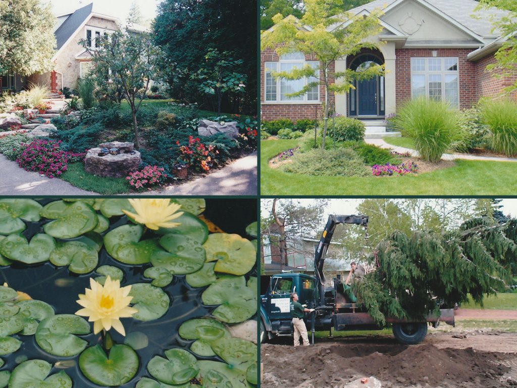 Front Gardens, Yellow Water Lily, and Large Tree Planting with Crane Weeping Nootka